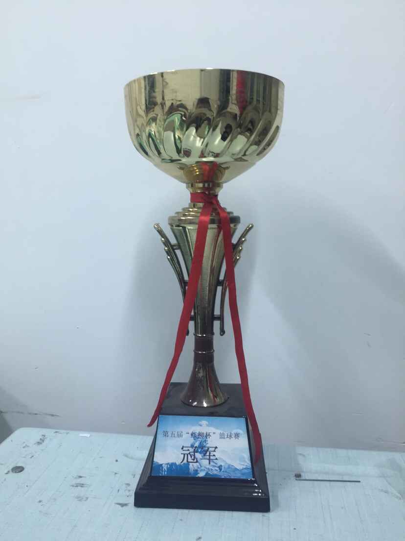 公司在第五届“红柳杯”篮球中赛勇夺桂冠